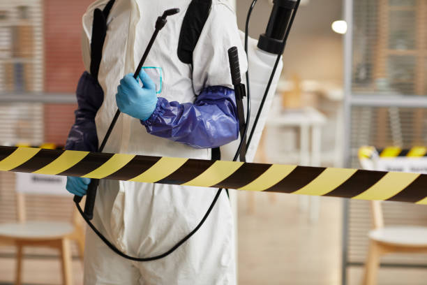 Professional Hoarding Cleanup technician working in Sinton, TX